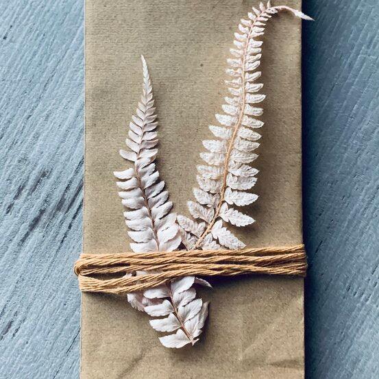 Dried Leatherleaf Fern - Soft Pink - centaur packaging