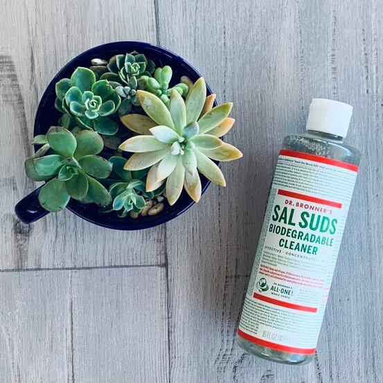 Sal Suds Biodegradable Cleaner - 473ml - bottle with cap- centaur packaging