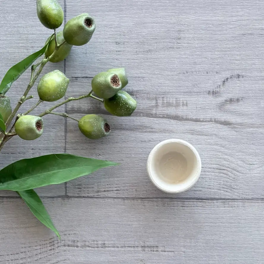 30ml Natural Plant Fibre Sauce BioCup sleeve of 125 @centaur packaging