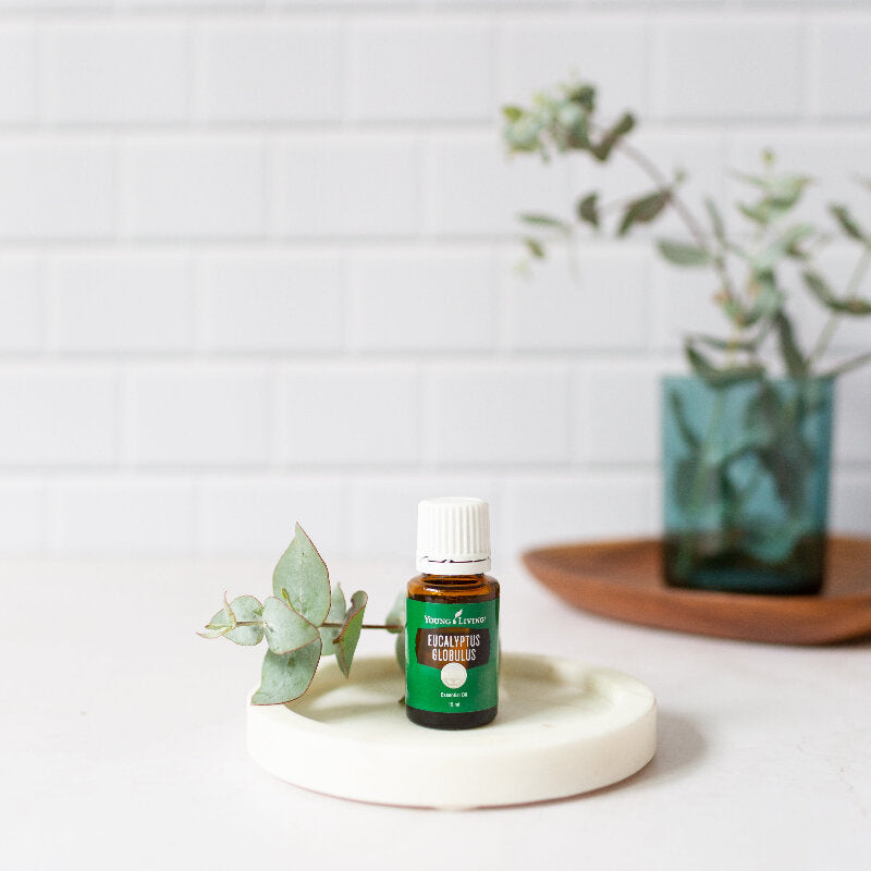 Young Living Eucalyptus Globulos