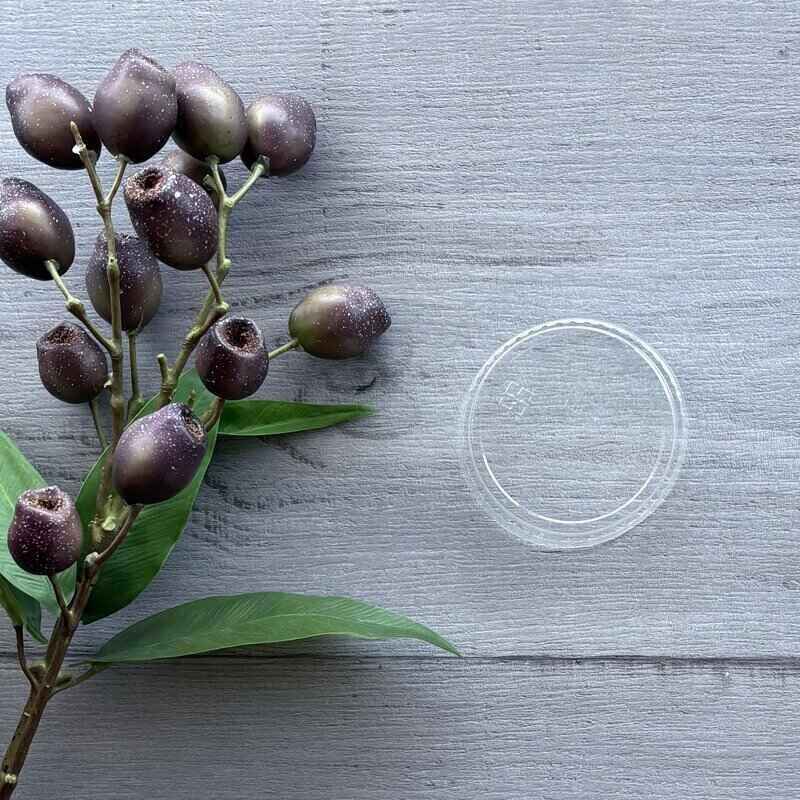 Lid-bio-pla76mm flat fits the 140ml and the 150ml containers