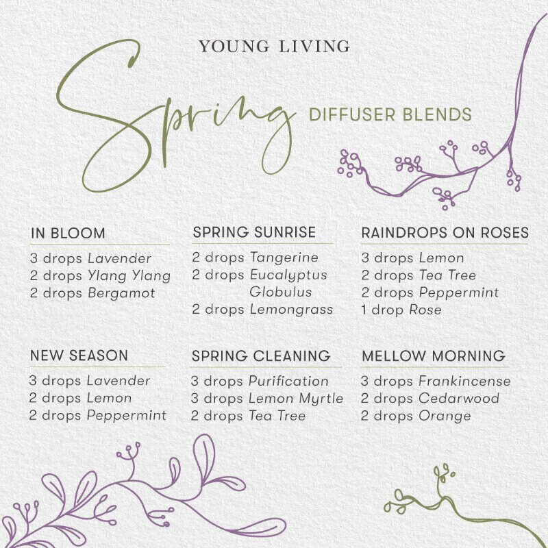 Recipe Blends Lemon Myrtle- centaur packaging