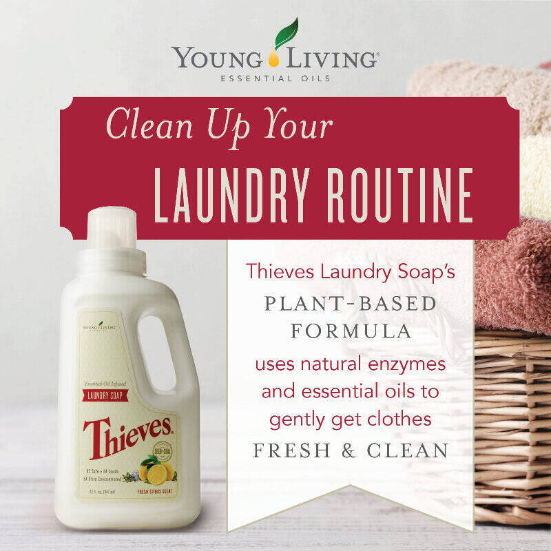 Young Living Thieves Laundry Soap