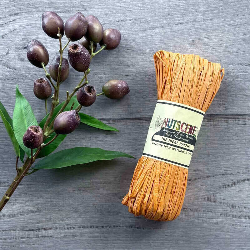 Raffia Nutscene - Apricot 
