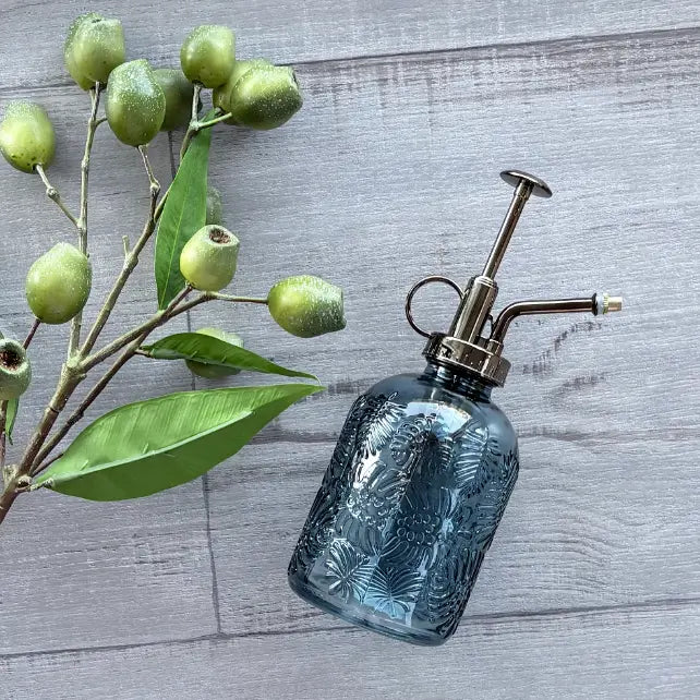 tropical plant mister - blue - centaur packaging