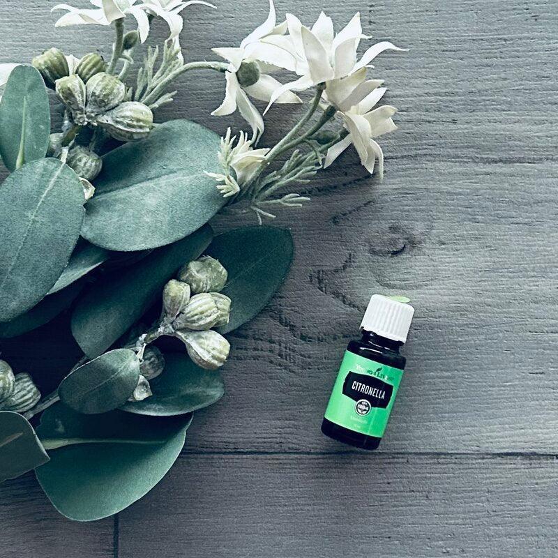 Citronella Essential Oil 15ml - centaur packaging