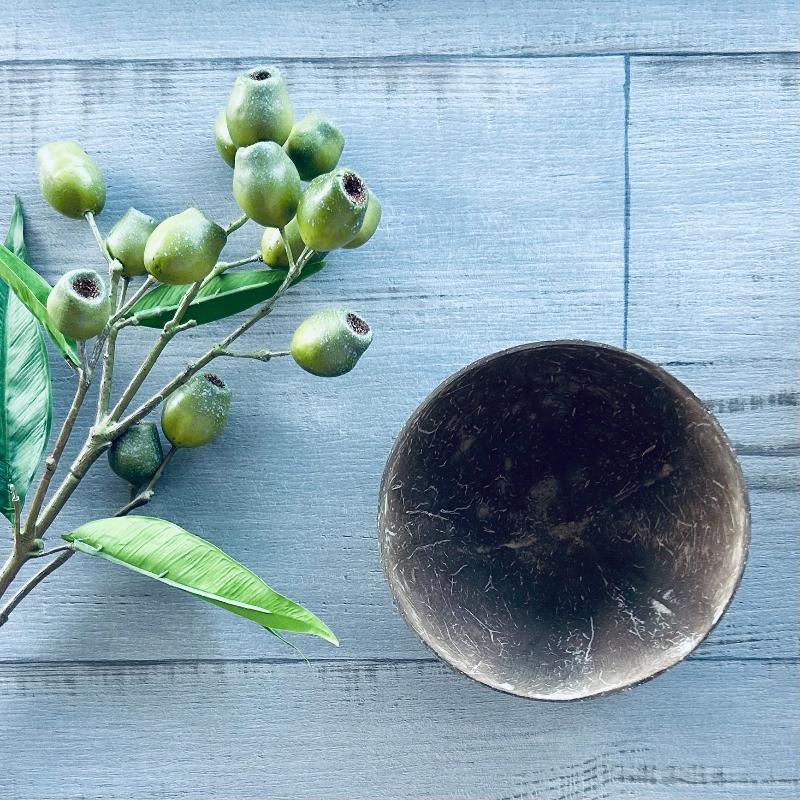 coconut bowl polished 