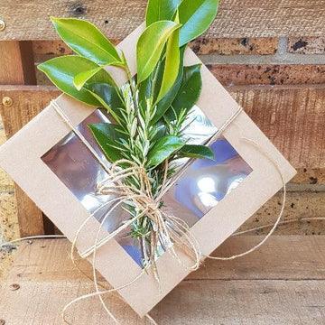 ECO - DISPLAY HAMPER - SMALL SQUARE - centaur packaging