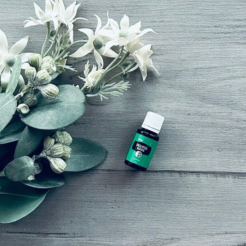 Eucalyptus Radiata Essential Oil 15ml - centaur packaging