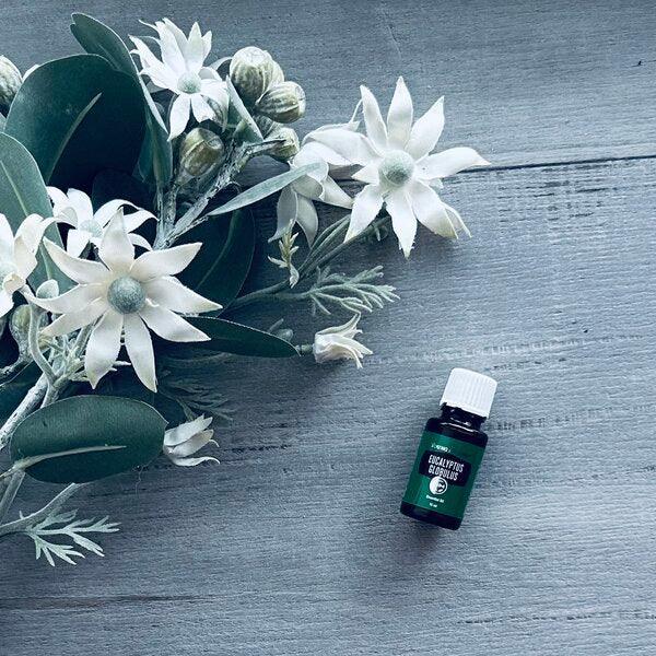 Eucalyptus Globulus Essential Oil by Young Living 15ms