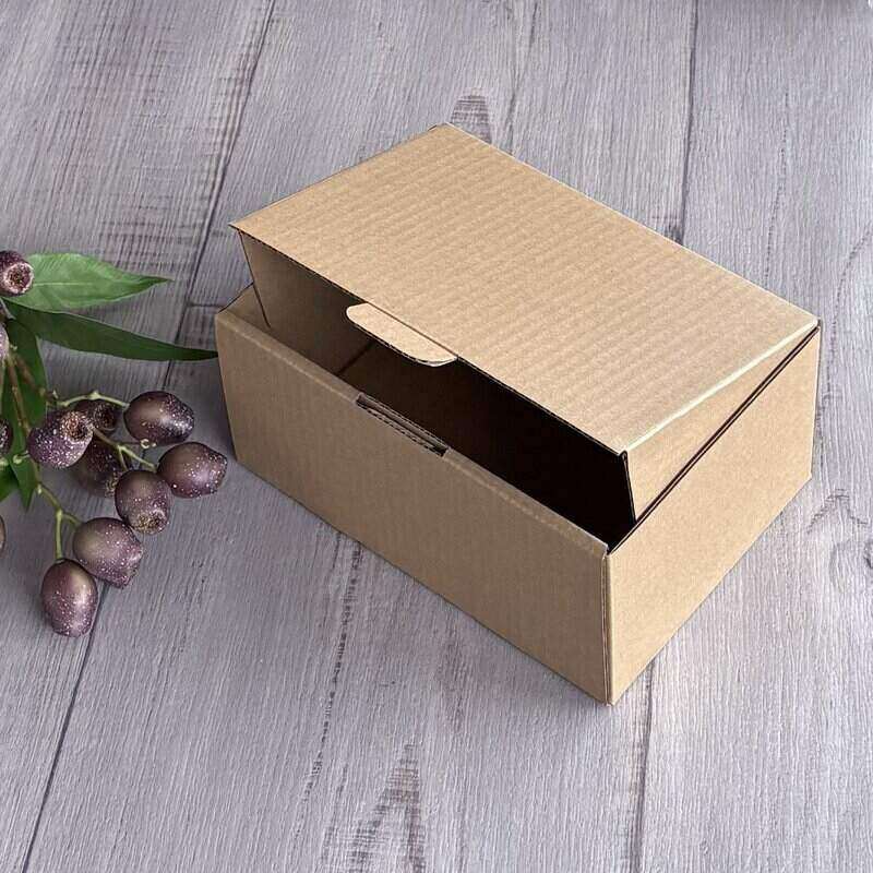 small tall kraft cardboard mailer box lid open