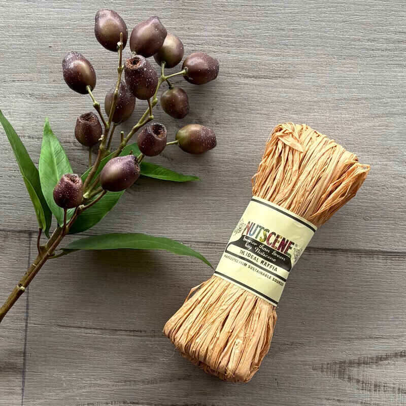 Raffia by Nutscene - Peach colour