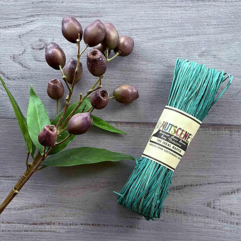 Green Spruce nutscene raffia