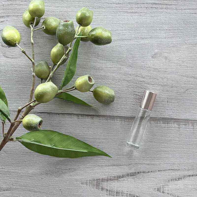 10ml Clear Glass Roller Bottle with Blush Lid - 5 Pack single roller
