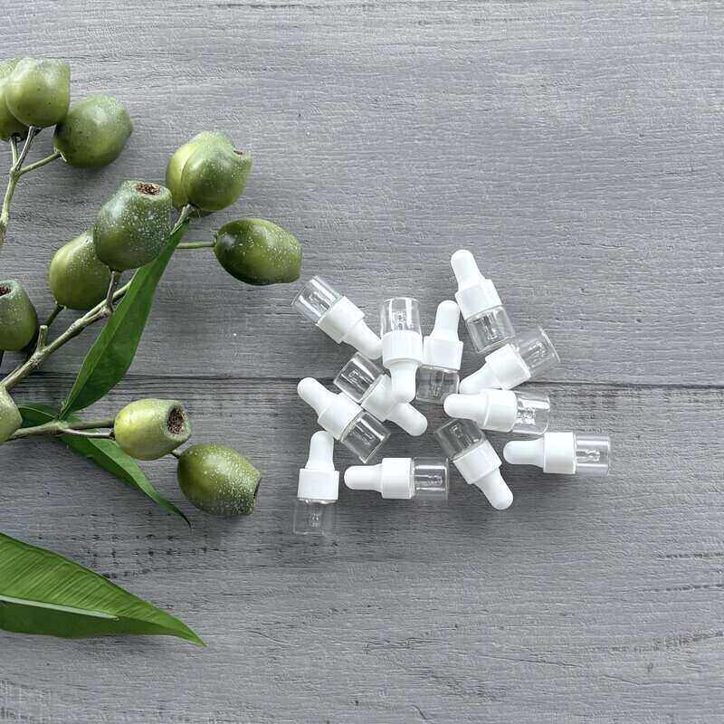 1ml Clear Glass Bottle with White Dropper - 12Pk