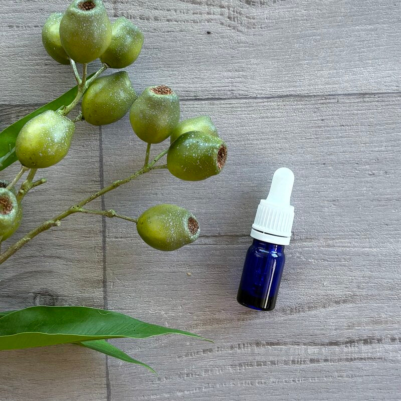 5ml white dropper with blue glass bottle single