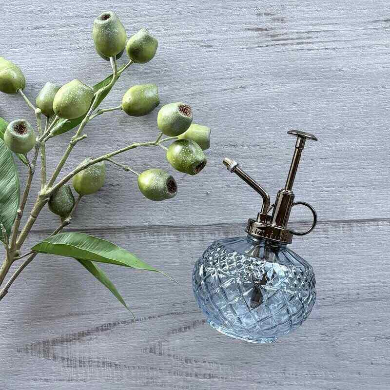 Vintage Glass Bottle Plant Mister - Blue