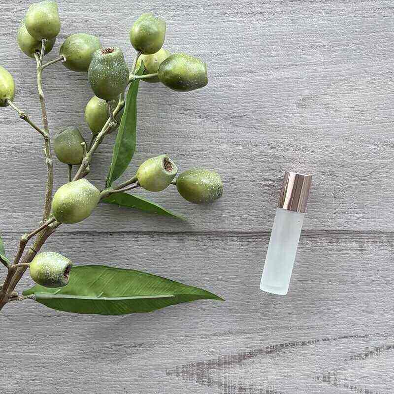10ml Frosted Roller Bottle with Blush Lid