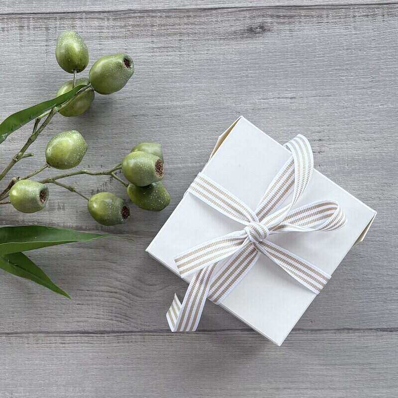 Small Treat Gift Box with ribbon top view