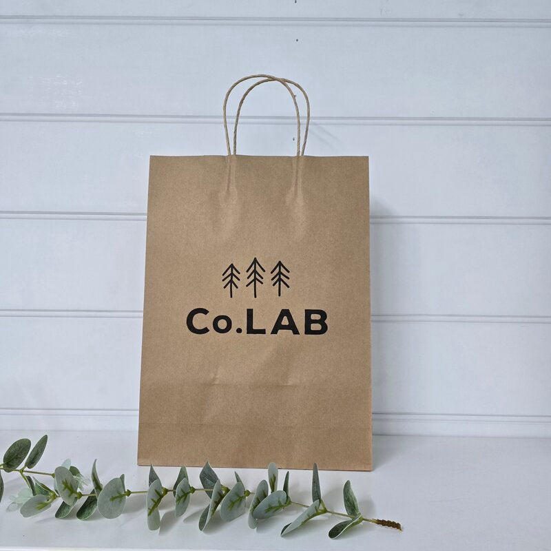 custom printed paper bag B1 with twisted handles @ centaur packaging bomaderry