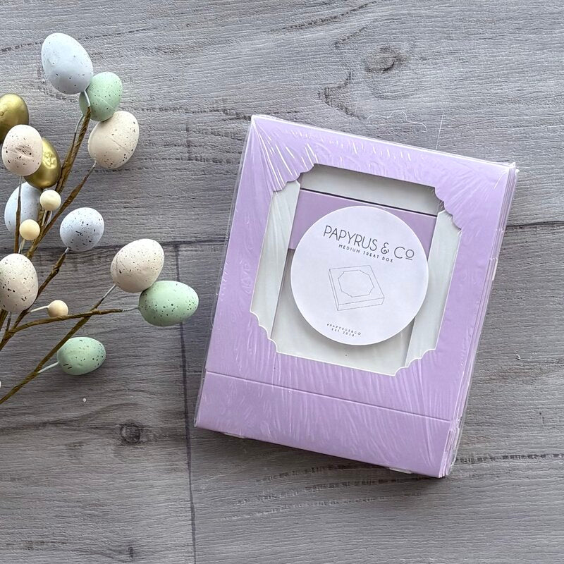 papyrus & co treat box medium 5 pack pastel lilac @ centaur packaging