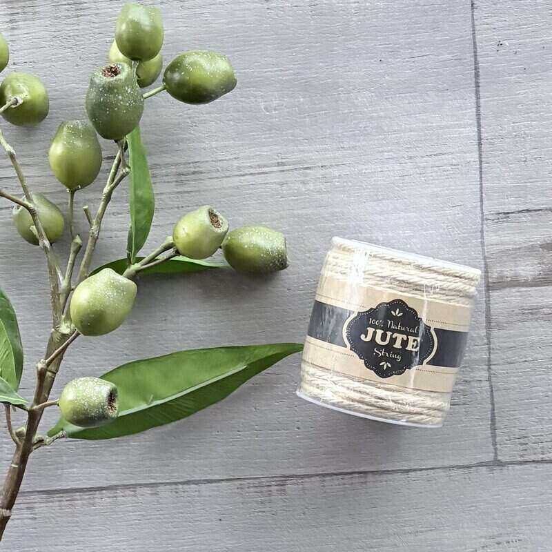 Natural Jute String Ivory