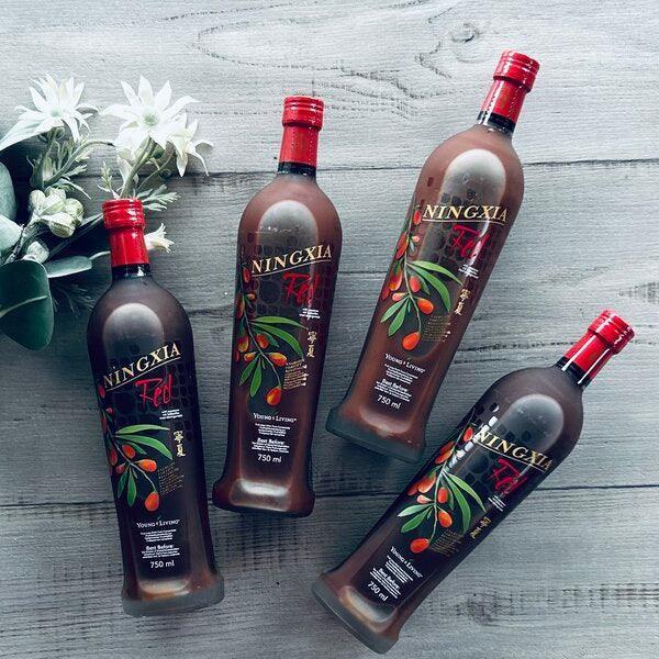 Ningxia 4 Pack young Living
