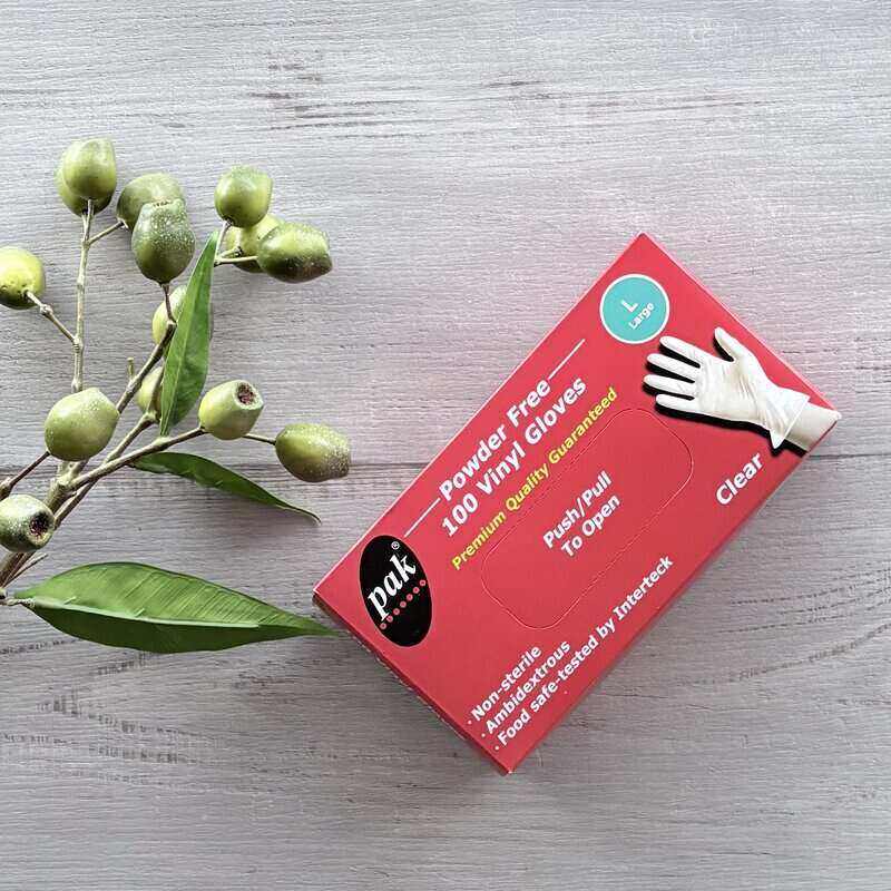 Powder Free Vinyl Gloves Clear - Large