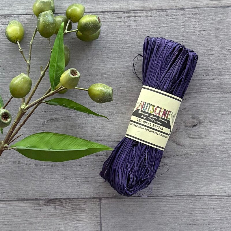 Nutscene raffia purple passion hank