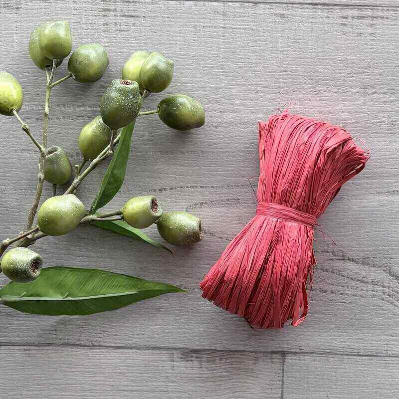 Natural Raffia- Red
