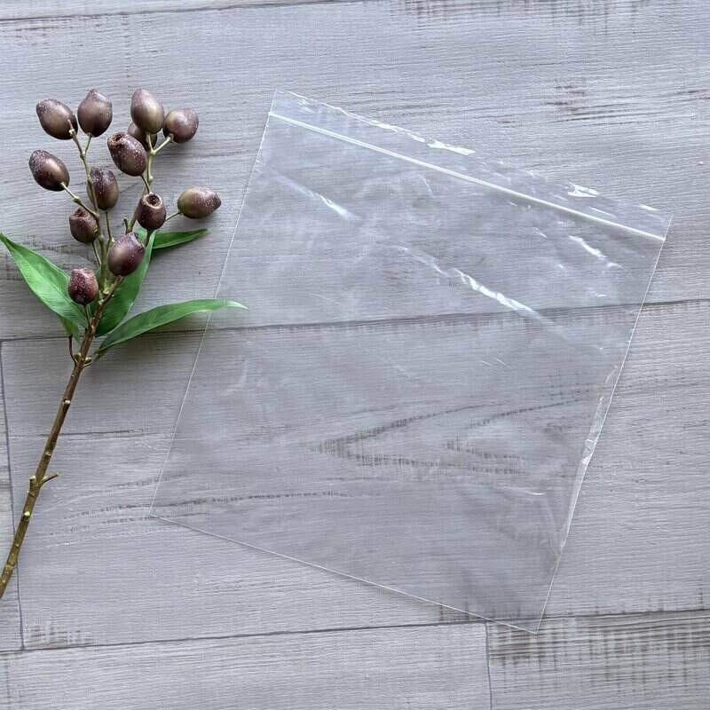 empty resealable 13x13 bag