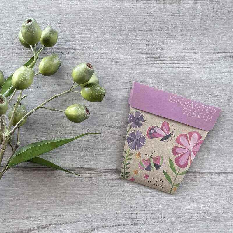 Gift of Seeds Enchanted Garden seed pack containing alyssum, cornflower, dianthus and cosmos seeds in a flower-pot-shaped cardboard envelope.
