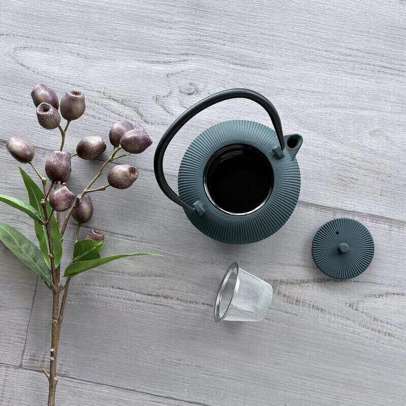 Cast Iron Teapot 700ml - Teal