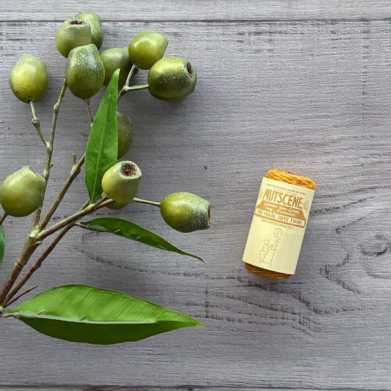 Tiddler twine by nutscene mustard 20g roll