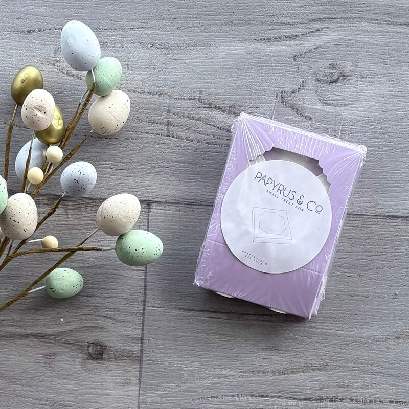 papyrus and co treat box small pastel lilac 5 pack