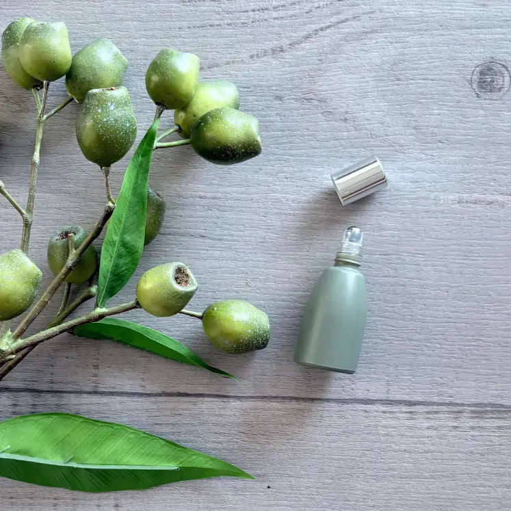 12ml Tara Roller Bottle with Silver Lid - Sage lid off