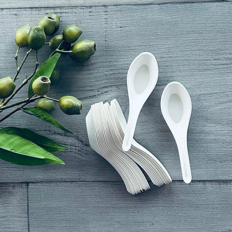 Sugarcane Chinese Soup Spoon - 100pk - centaur packaging
