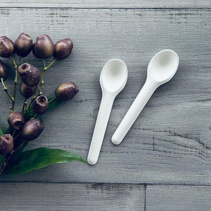 Sugarcane Spoon - 50pk - centaur packaging