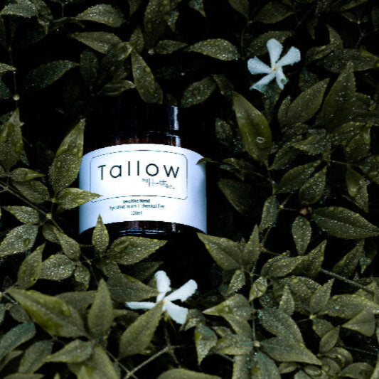Tallow by health made 100ml amber jar in jasmine bush
