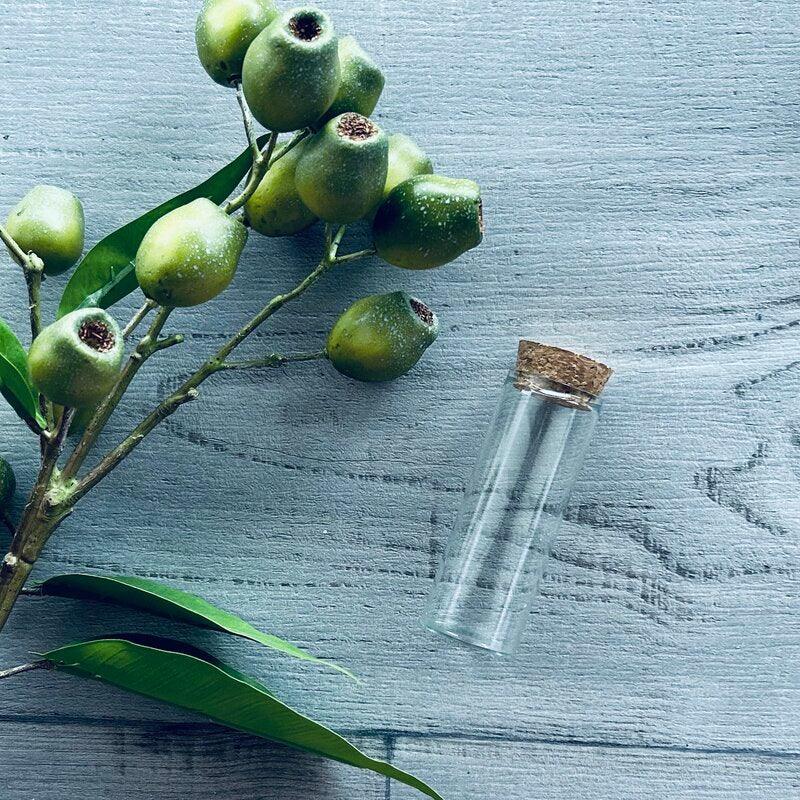 Test Tube with Cork Lid Glass Long - centaur packaging