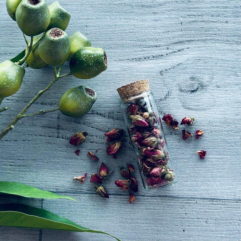 Test Tube with Cork Lid Glass Long - centaur packaging