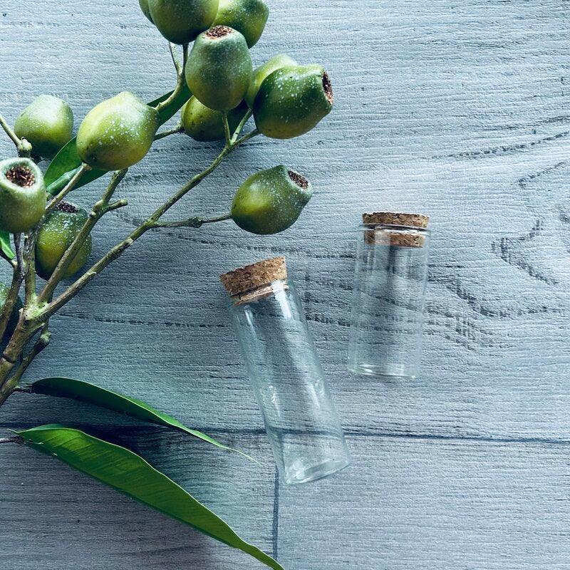 Test Tube with Cork Lid Glass Long - centaur packaging