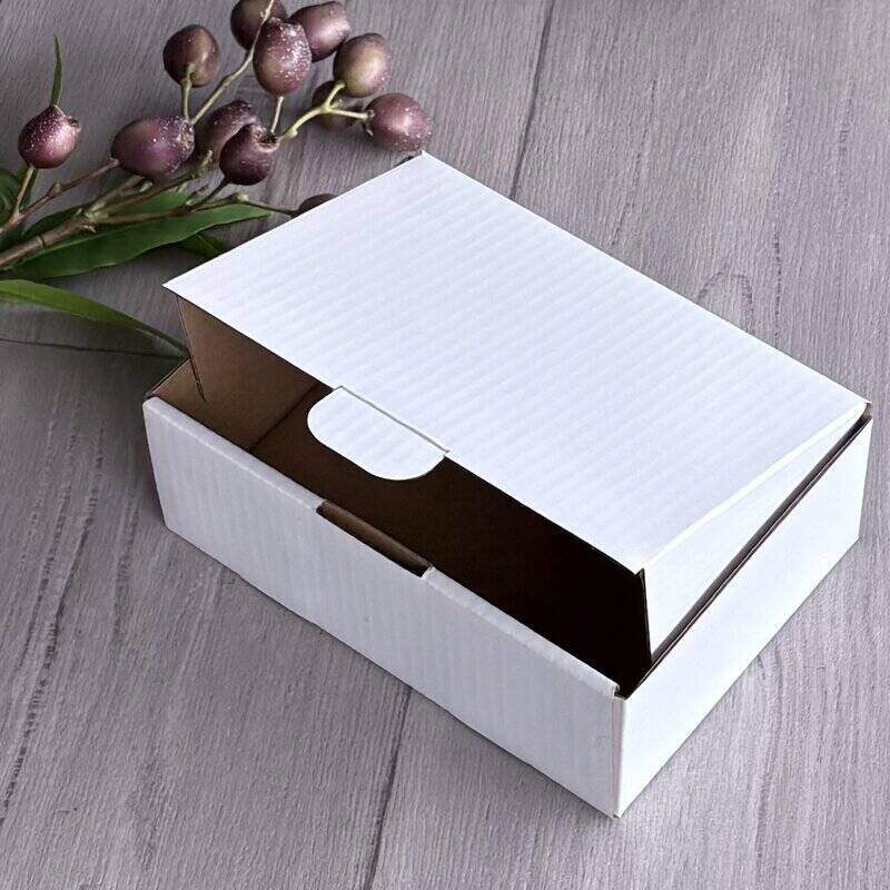 white mailing box small cardboad lid open