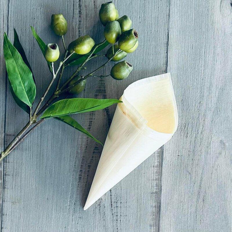 Cone Pine Wood 240mm pack of 50 - centaur packaging