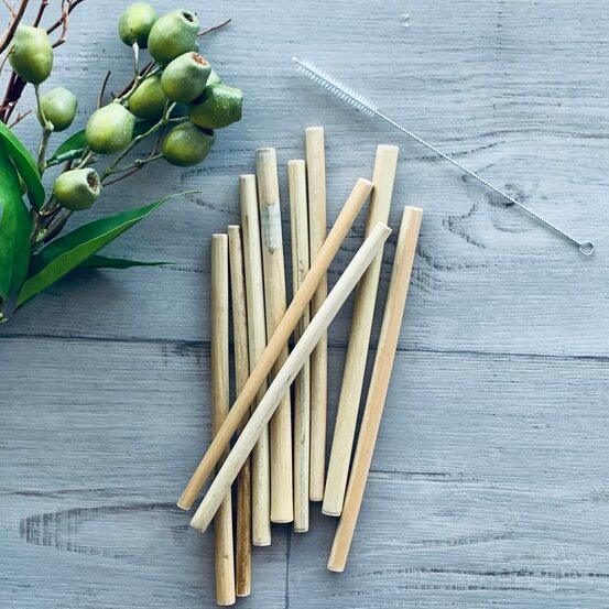 Reusable Bamboo Straws & Cleaner -PK10 - centaur packaging