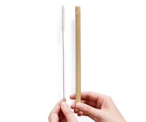 Reusable Bamboo Straws & Cleaner -PK10 - centaur packaging