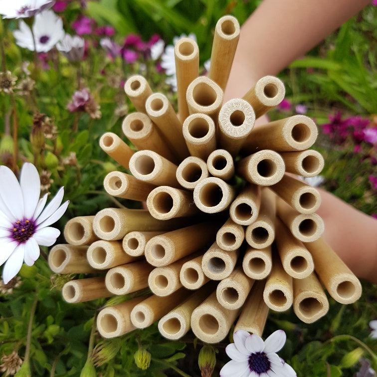 Reusable Bamboo Straws & Cleaner -PK10 - centaur packaging